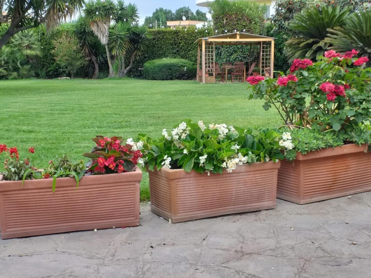 Apartamento Garden Basement - Seminterrato Max 4 Ospiti - Fiumicino Vicino Aeroporto E Fiera Exterior foto